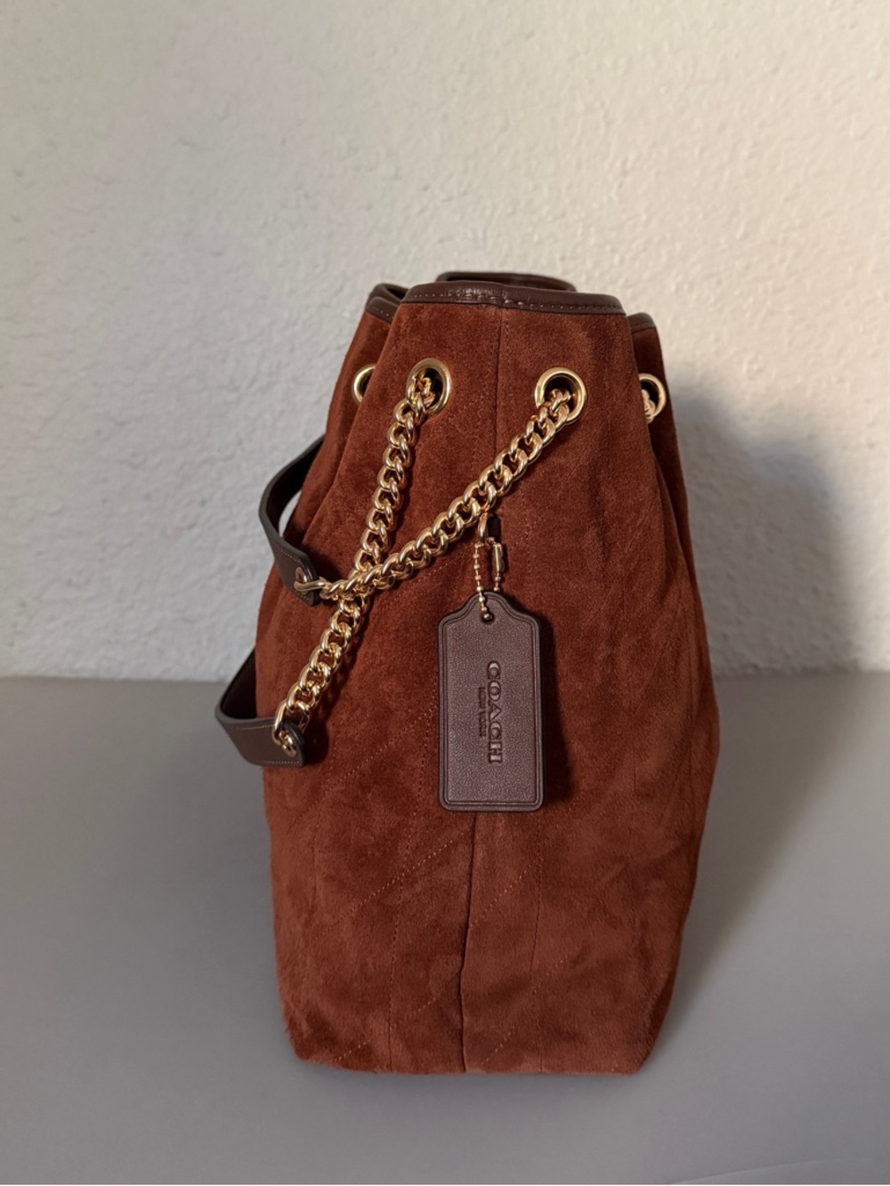 NWT Coach Evelyn Shoulder Bag With Quilting Suede with Gold Chain Trim - Picture 11 of 16